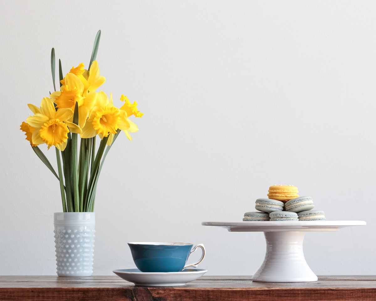 6 Spring Cleaning Coupons for Home Essentials